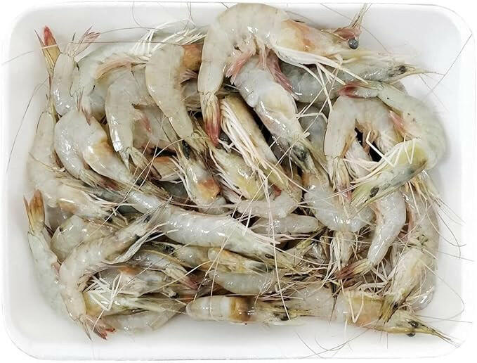 Shrimps (Large) - Taza machli