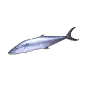 'Doori Wali' Surmai (King Mackerel)