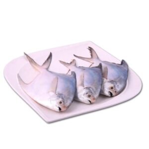 Safed Paplet (White Pomfret)